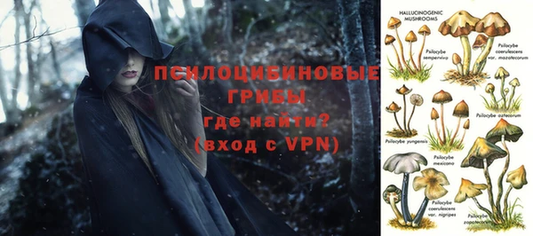 ALPHA PVP Богородск